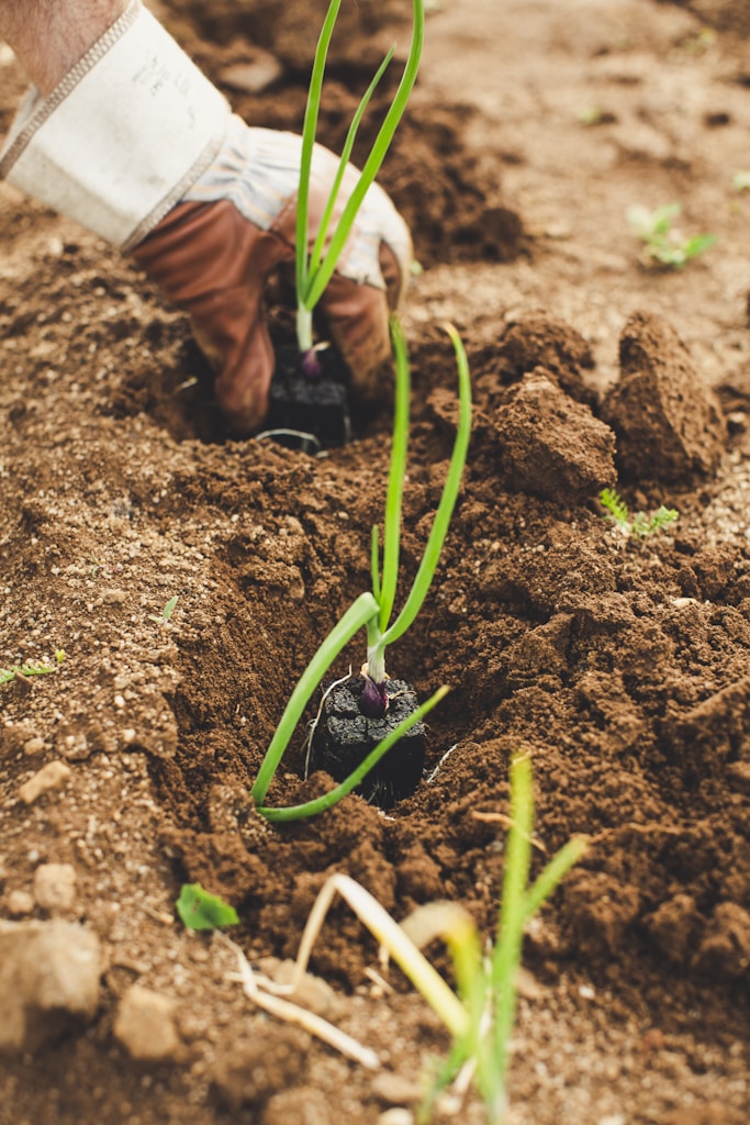 Imagen de Un niño pequeño parado en medio de un campo