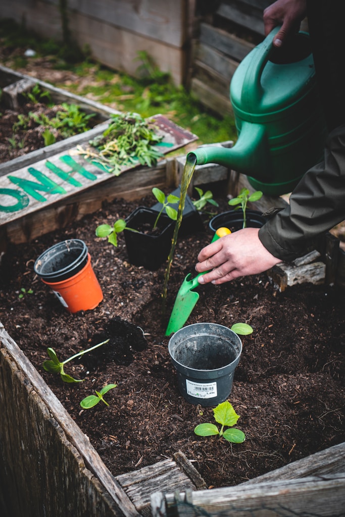 Imagen de una persona sosteniendo una pala de plástico verde regandando una planta
