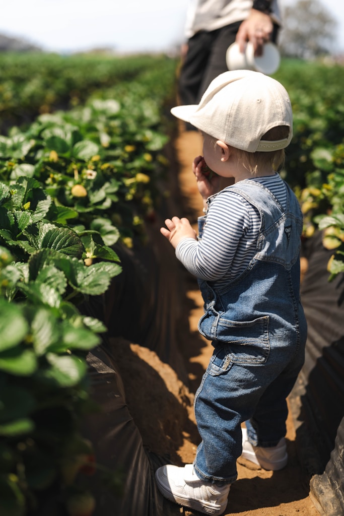 Imagen de Un niño pequeño parado en medio de un campo